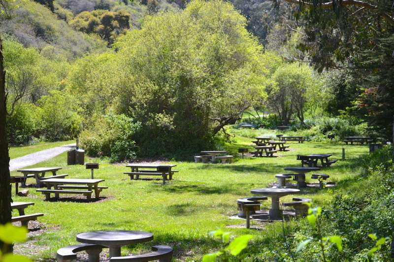 È vietato fare un picnic? Le aree ricreative sono aperte o chiuse?