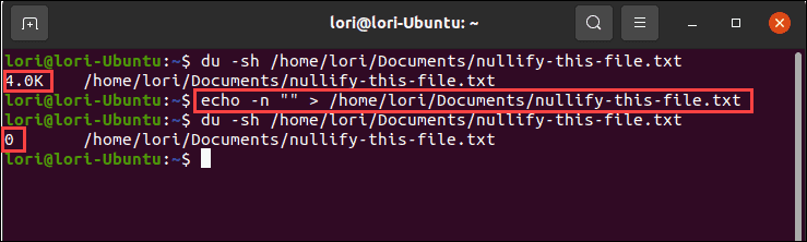 Utilizzo del comando echo con output nullo in Linux