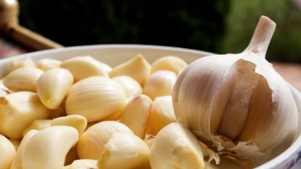 Quali sono i benefici dell'aglio? Cosa fa l'aglio in polvere | Se ingerisci un aglio crudo ...