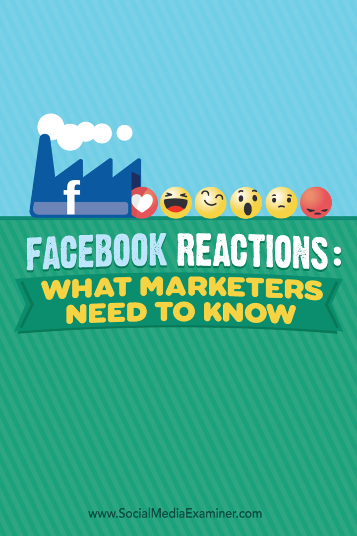 Reazioni di Facebook: cosa devono sapere i professionisti del marketing: esaminatore dei social media
