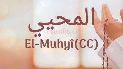 Cosa significa al-muhyi (cc)? In quali versi è menzionato al-Muhyi?