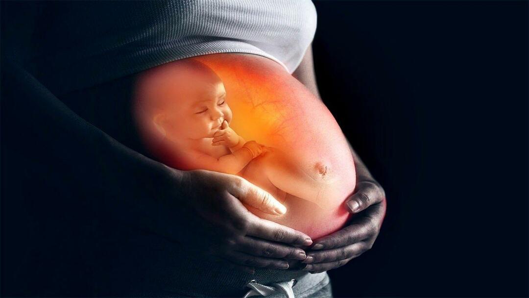 Come nutrire il bambino nell'utero dalla madre