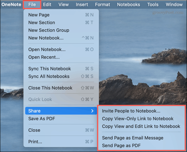 Condividi le opzioni in OneNote sul Mac
