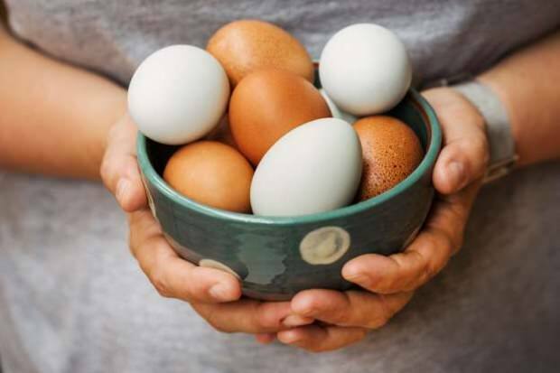Come viene eseguita l'analisi organica delle uova?