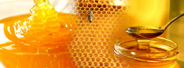 il miele dovrebbe essere dato ai bambini?