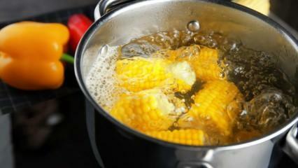 Come preparare il mais bollito più semplice? Metodi di cernita del mais bollito