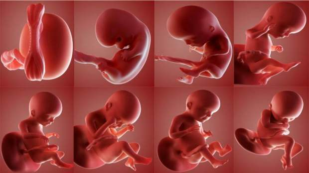 Viene dato un nome al bambino morto nell'utero?