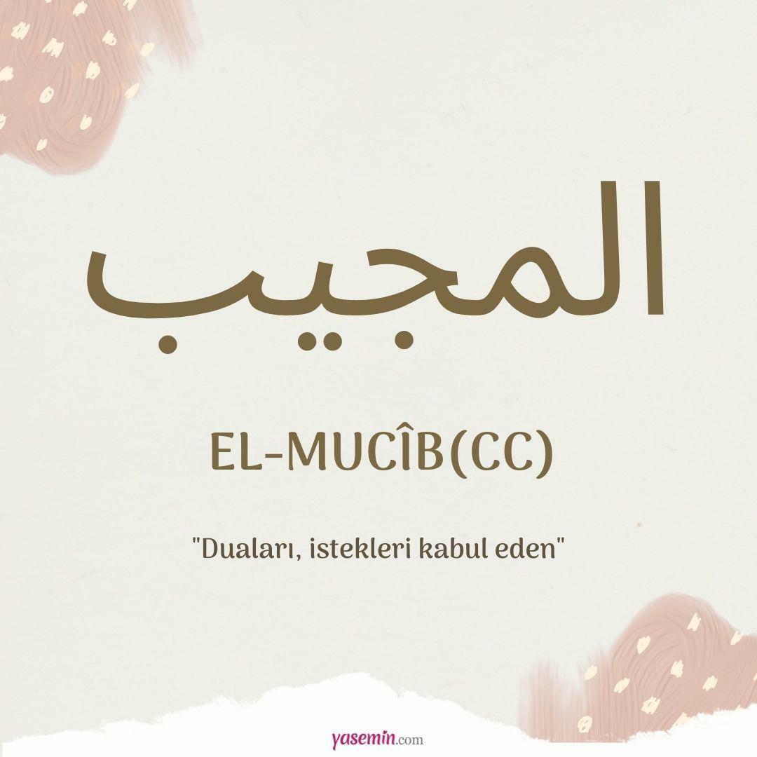 Cosa significa al-Mujib (cc)?