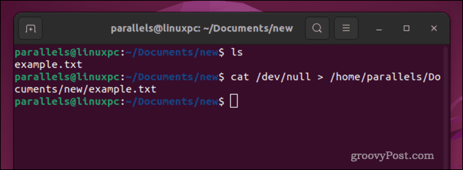 Svuota un file in Linux usando il comando cat