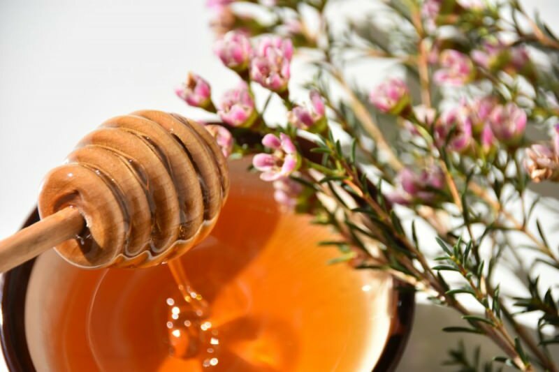 miele di manuka a base di fiori di manuka