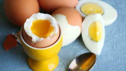 Quali sono gli effetti di mangiare 2 uova in sahur ogni giorno sul corpo?