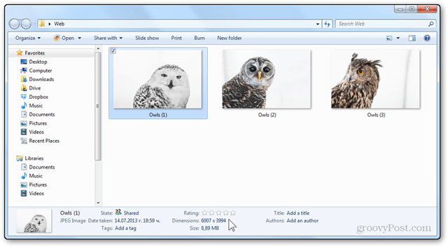 foto ridimensionamento tutorial windows live galleria fotografica