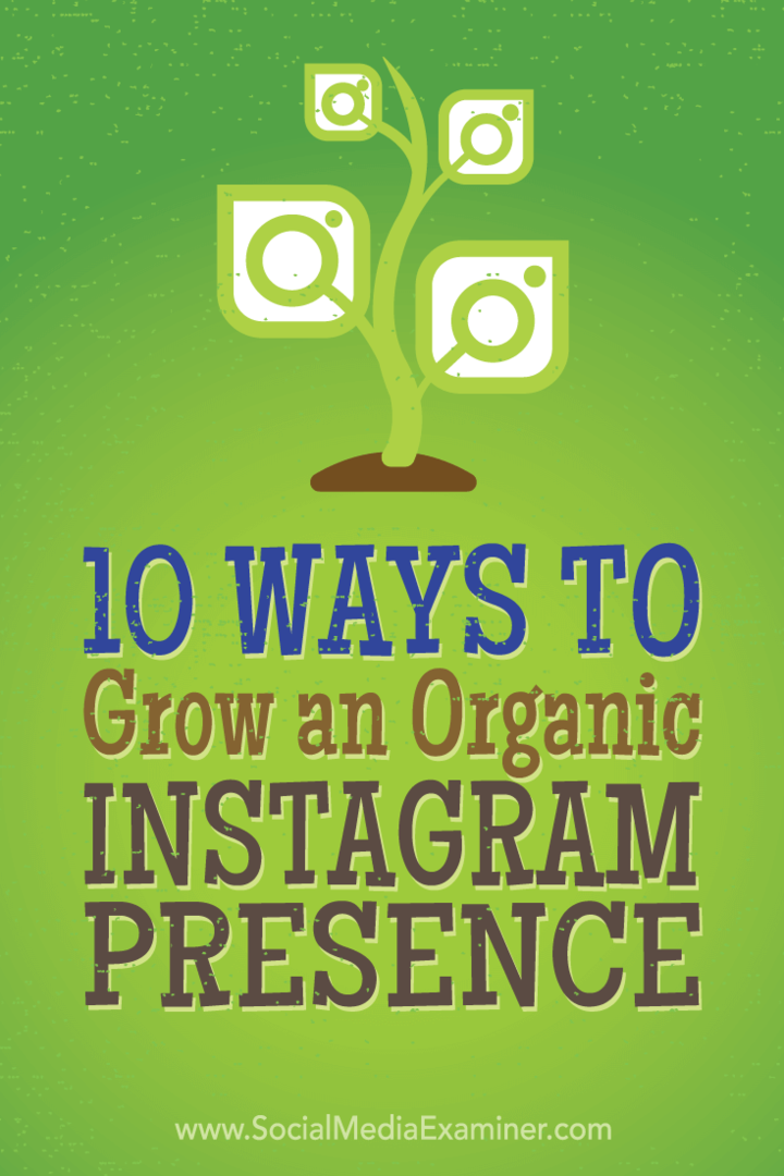 Suggerimenti su 10 tattiche che i migliori esperti di marketing hanno utilizzato per ottenere organicamente più follower su Instagram.