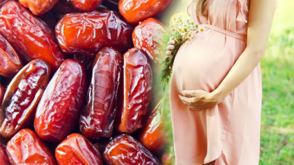 Che cos'è lo zucchero di palma? I benefici di mangiare le date durante la gravidanza e il consumo di zucchero di palma ...