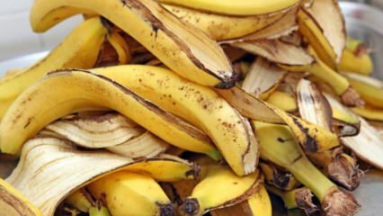 Quali sono i benefici della banana? Quanti tipi di banane ci sono? Usi sconosciuti di buccia di banana! 