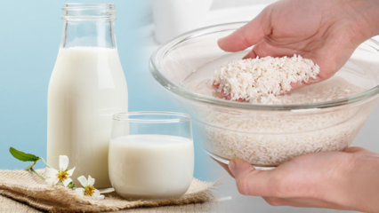 Come preparare il latte di riso brucia-grassi? Metodo dimagrante con latte di riso