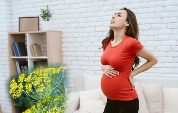 rimedio naturale per la lombalgia in gravidanza