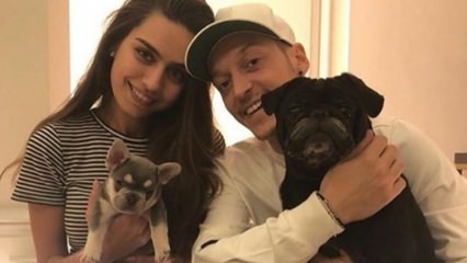 Mesut Özil celebra il compleanno della sua fidanzata Amine Gülşe