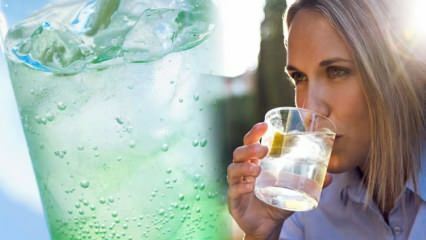 L'acqua minerale di limone si indebolisce? Ciclo di perdita di peso con acqua minerale