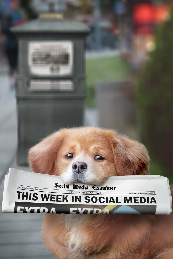 Meerkat presenta gli hashtag live: questa settimana sui social media: Social Media Examiner