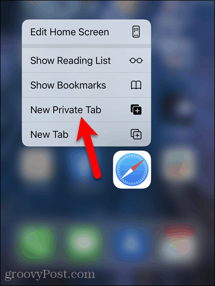 Premi a lungo l'icona Safari e tocca Nuova scheda privata