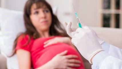 Avvertimento da parte di esperti! Le donne incinte aspetteranno il vaccino contro il coronavirus
