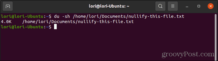 Usando il comando du per controllare la dimensione di un file in Linux