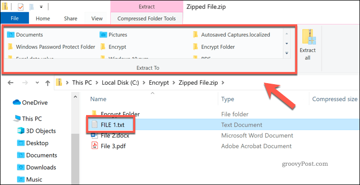 Estrazione di un singolo file da un file Zip in Esplora file di Windows