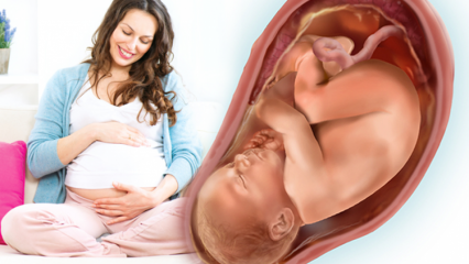 Come partorire normalmente? Quando le mestruazioni arrivano dopo la nascita? Dolore al travaglio normale ...
