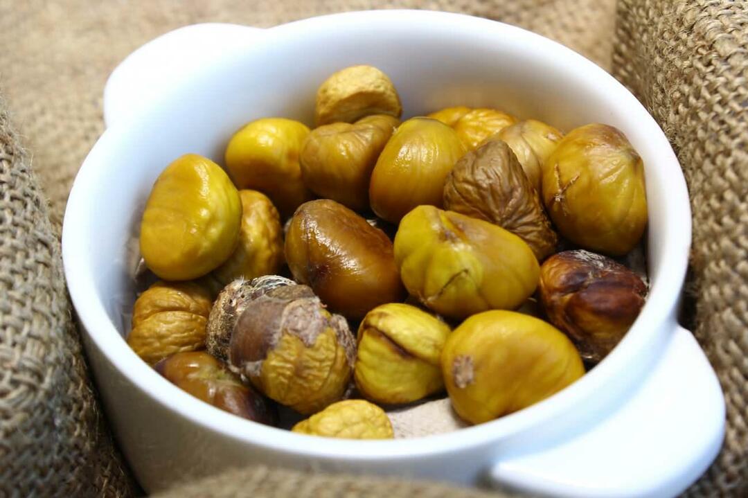 Le donne incinte possono mangiare le castagne? Benefici del consumo di castagne durante la gravidanza per il bambino e la mamma