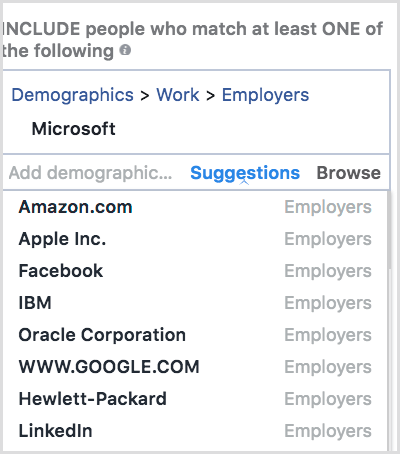 Facebook offre suggerimenti nella sezione Targeting dettagliato.