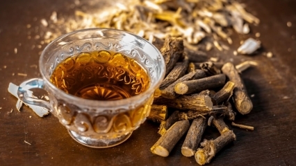 Quali sono i benefici della liquirizia? Come preparare il tè alla radice di liquirizia? A cosa serve la liquirizia?