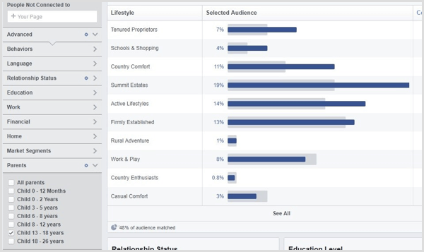 Visualizza Facebook Audience Insights per un pubblico personalizzato.