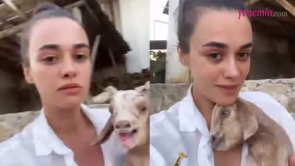 Condivisione con l'agnello appena nato dell'attrice Hande Soral!