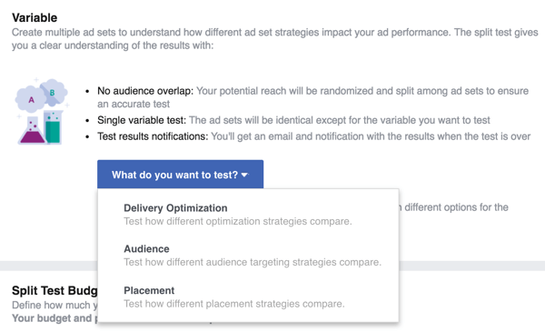 Seleziona la variabile che desideri testare con il tuo annuncio Facebook.