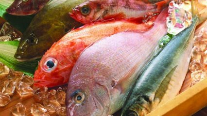 Quali sono i benefici del pesce? Come consumare il pesce più sano?