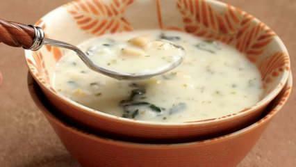 Cos'è la zuppa di colomba e come prepararla? Ricetta della zuppa Dovga a casa