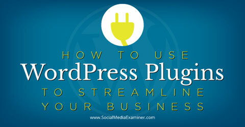 plugin di wordpress per semplificare il business