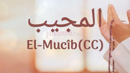 Cosa significa al-Mujib (c.c)? Quali sono le virtù del nome Al-Mujib? Esmaul Husna Al-Mujib...