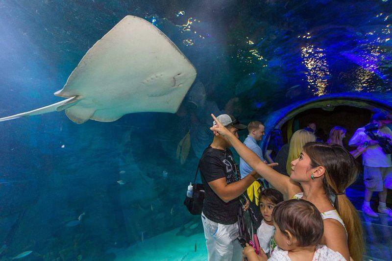  Scene dall'Acquario Sea Life di Istanbul