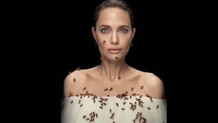 Angelina Jolie in lente con api per api!