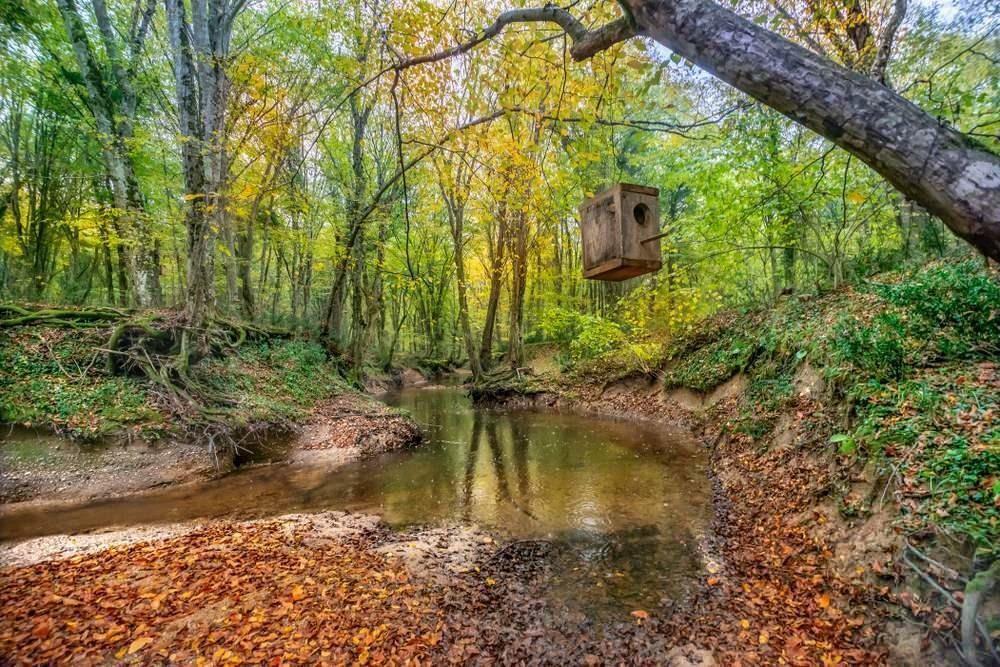 Parco forestale Igneada Longoz