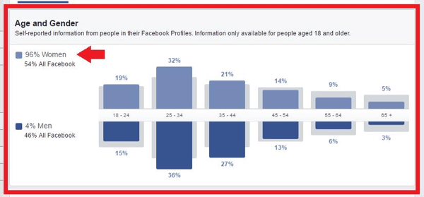 Analizza i dati di Audience Insights per il tuo pubblico di destinazione.