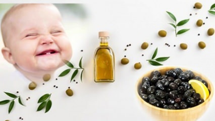 Fare le olive con poco sale per i bambini! In quale mese si dovrebbero dare le olive ai bambini?