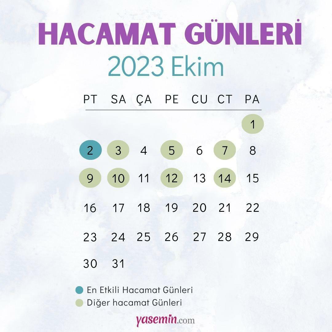 Quando dovrebbe essere effettuata la coppettazione? I giorni di coppettazione più efficaci nell'ottobre 2023