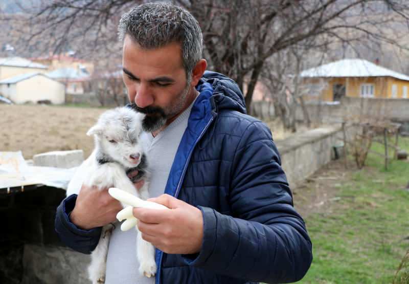 Murat Aydemir ha salvato la vita al cucciolo di capra