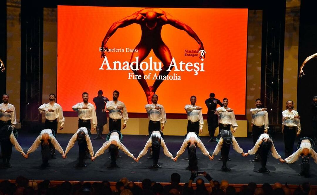  2. Korkut Ata Turkish World Film Festival Gruppo di danza Fire of Anatolia