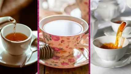 Quali sono i migliori modelli di tazze da tè di Evidea? 2022 I migliori modelli e prezzi di tazze da tè