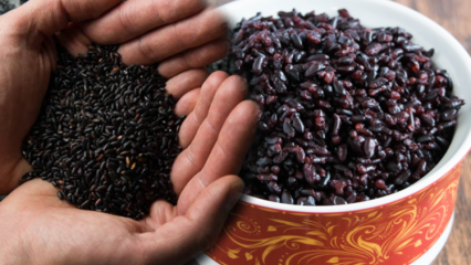 Quali sono i benefici del riso nero? Qual è l'altro nome del riso nero? Come viene consumato il riso nero?