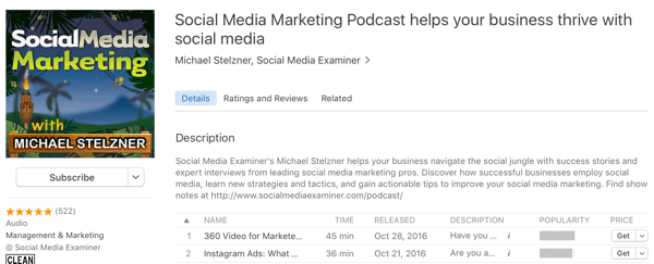 podcast di social media marketing con michael stelzner